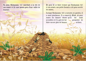 Le prophète Soulaymân - Histoires des Prophètes pour les Petits