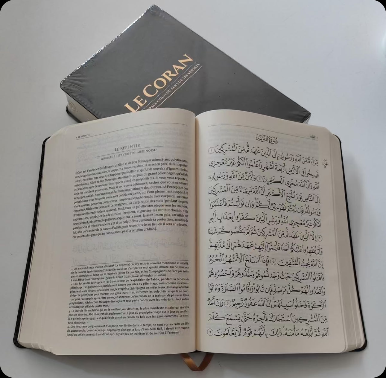 Le Coran et la traduction du sens de ses versets